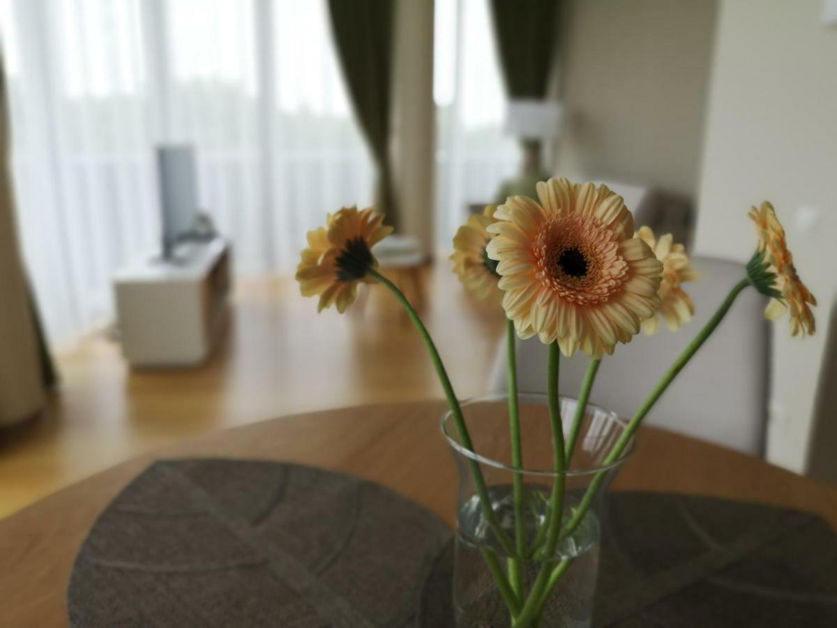 Luxury Apartments Druskininkai Dış mekan fotoğraf